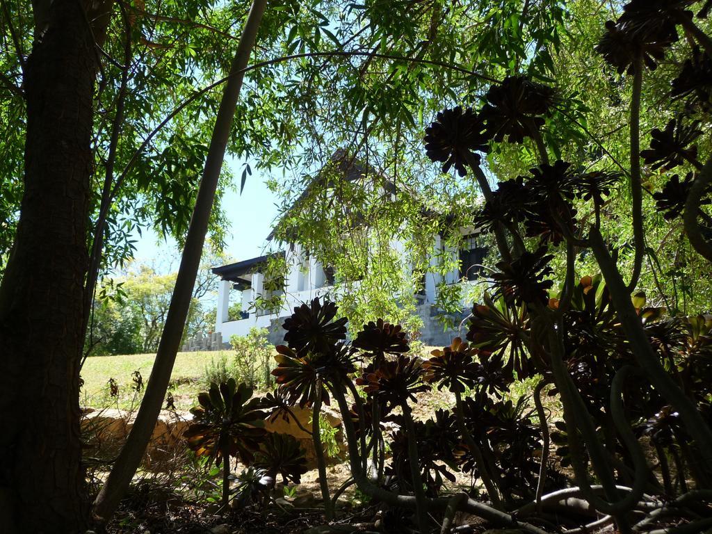 Karoo Soul Hostel Oudtshoorn Buitenkant foto